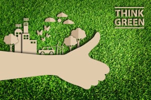 think green développement durable