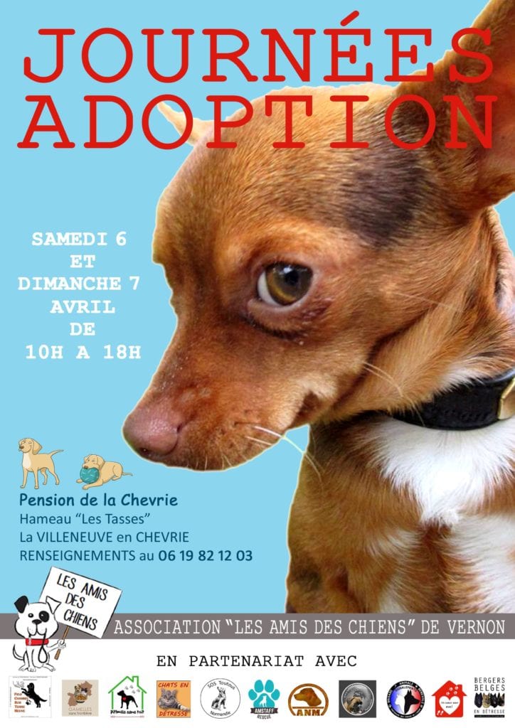 Affiche journée adoption